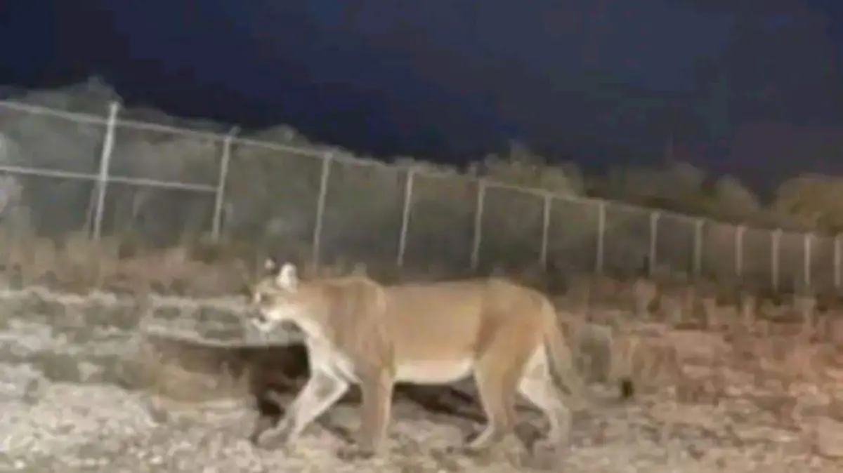 621727598_1419417179637833_7972219001794058025_n