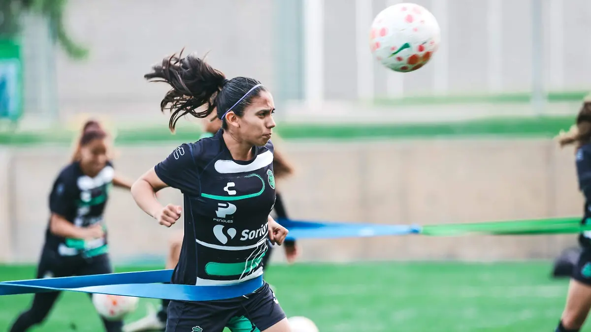 1a5fc784-40f1-4939-981a-ff1274d1fa80