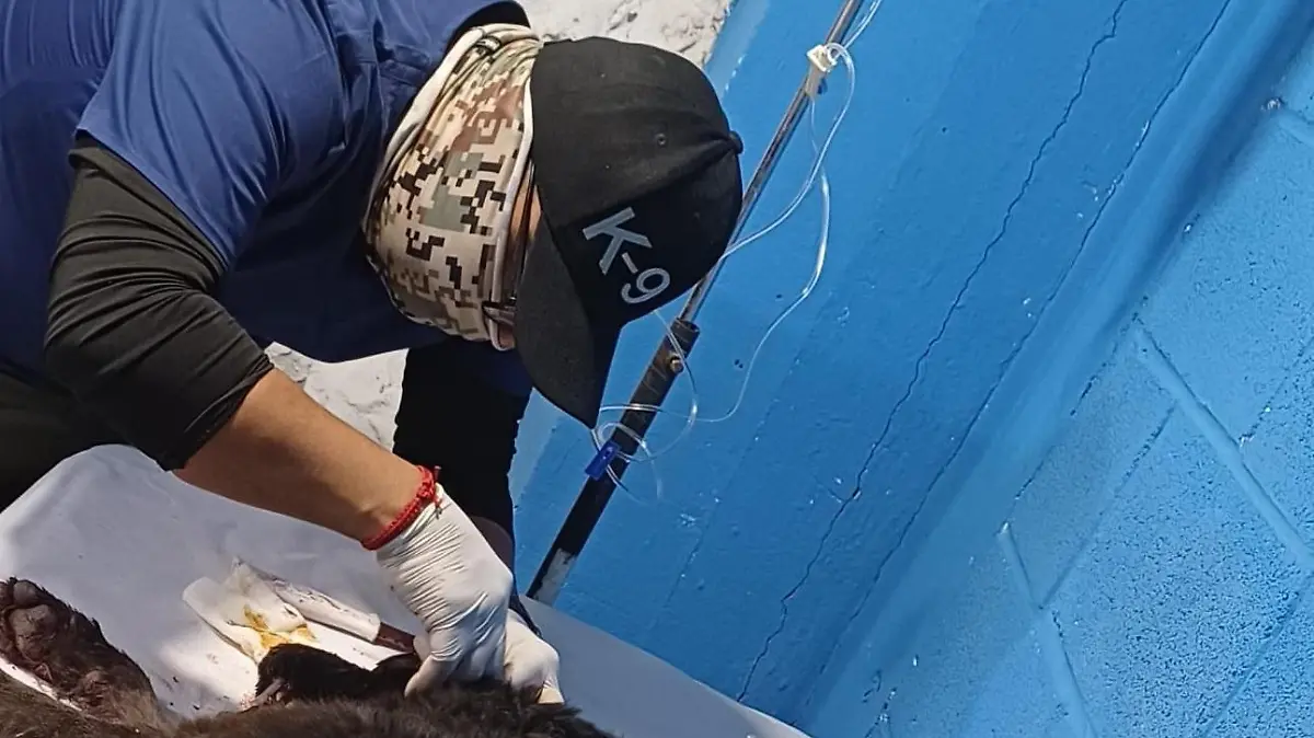 1922803e-7138-43ac-ad89-de5df3430e7f