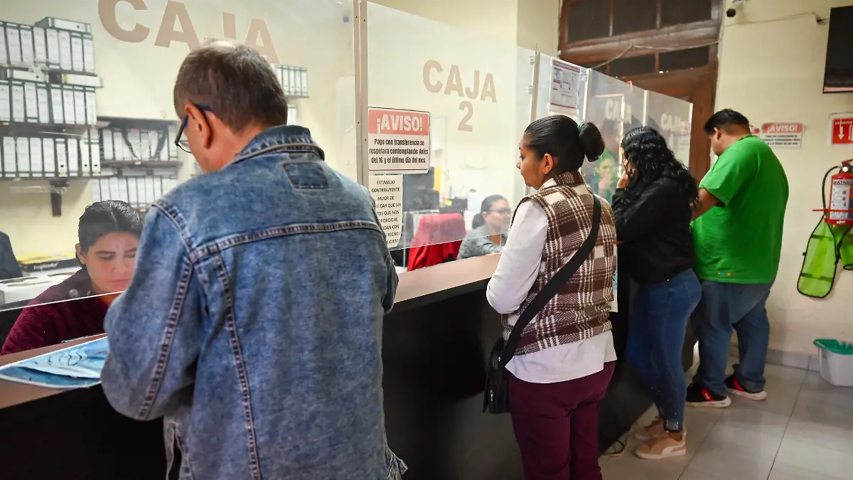 WhatsApp Image 2026-01-28 at 13.05.26 (1)