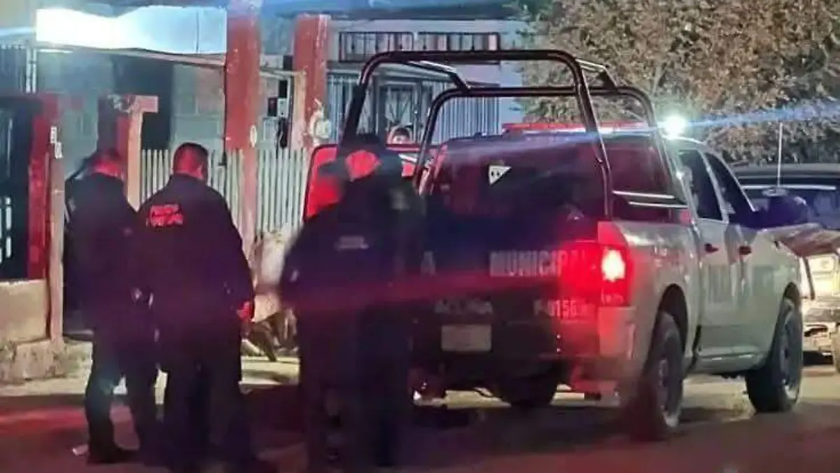 WhatsApp Image 2026-01-28 at 15.50.30