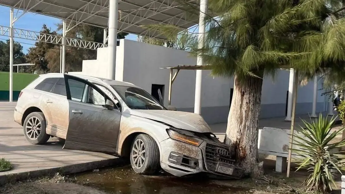 WhatsApp Image 2026-01-28 at 7.17.46 PM