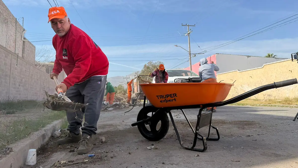 9572c710-739b-45fe-8291-196c059fc2fd