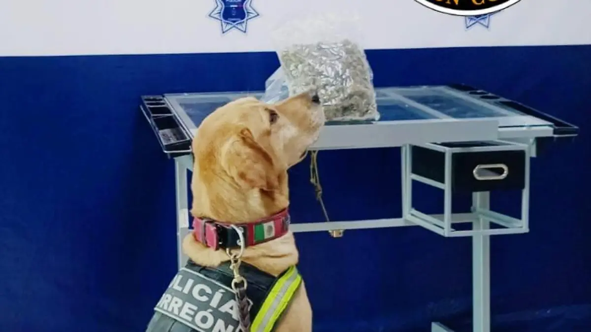 7a9deb2a-86b8-4981-8bfd-dc3066261e14