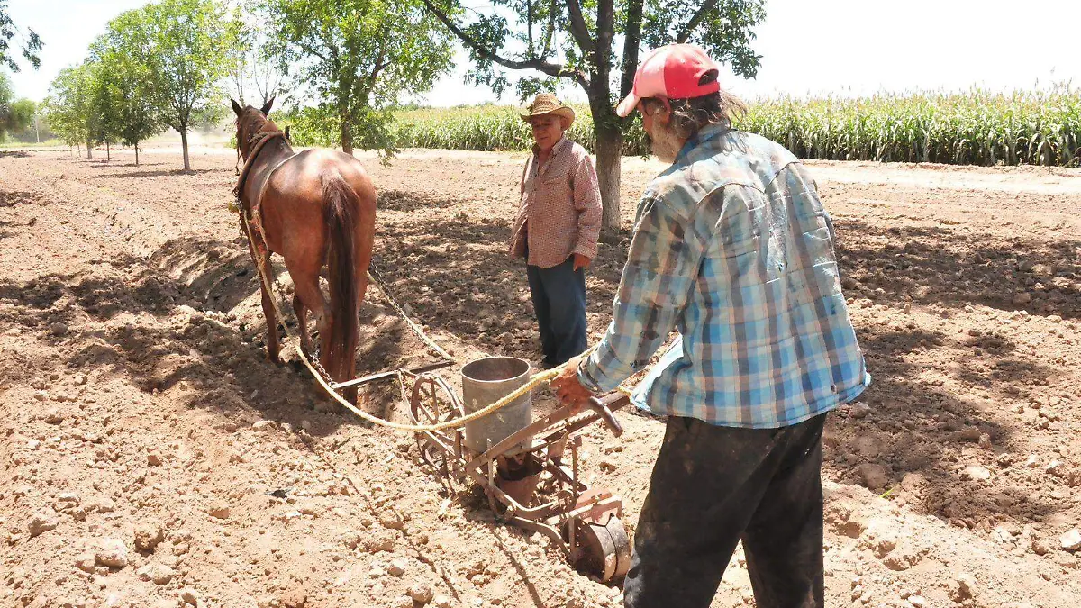 WhatsApp Image 2026-01-29 at 12.21.38