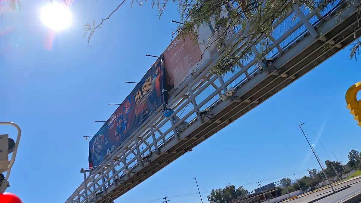 WhatsApp Image 2026-01-30 at 14.38.45