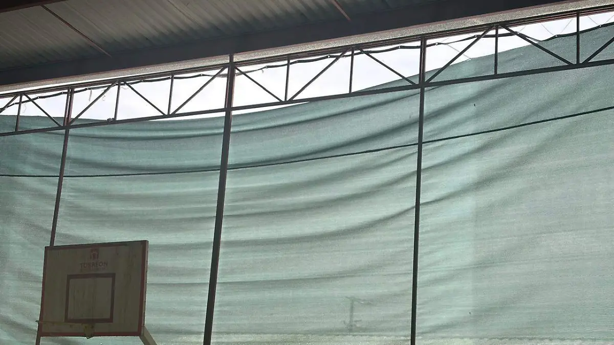 WhatsApp Image 2026-01-30 at 14.17.28