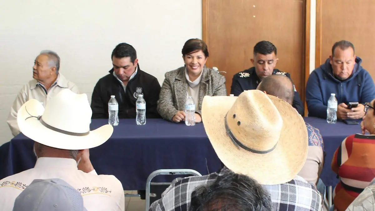 WhatsApp Image 2026-02-02 at 11.05.59