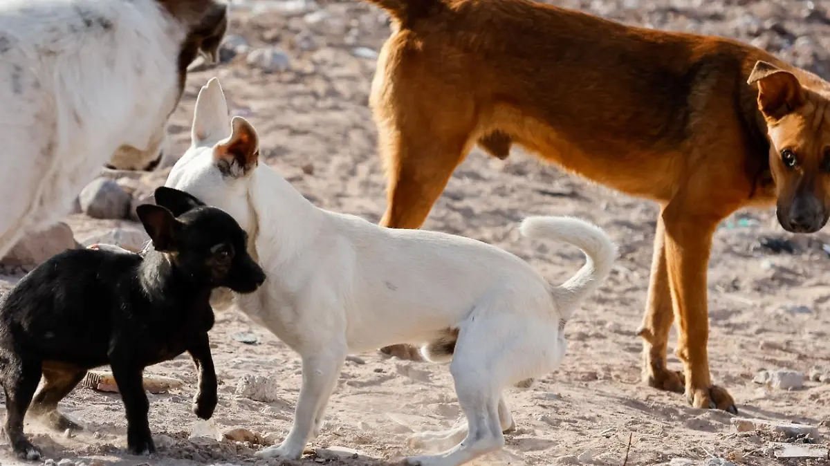 0d18fb09-853a-4481-b125-751cb5e81de8