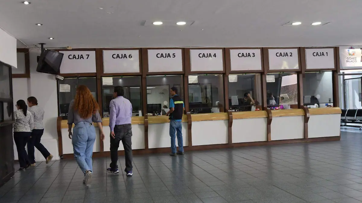 WhatsApp Image 2026-02-02 at 14.38.13