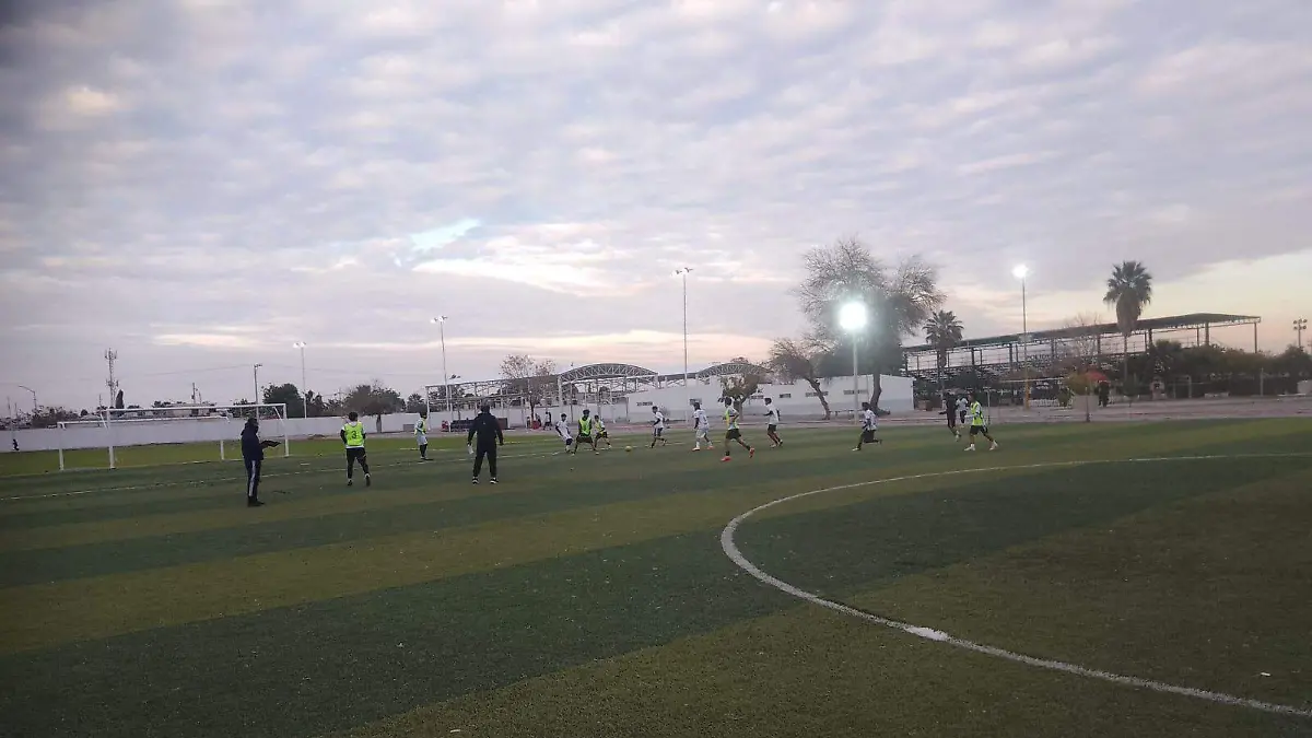 WhatsApp Image 2026-02-02 at 14.29.27 (1)