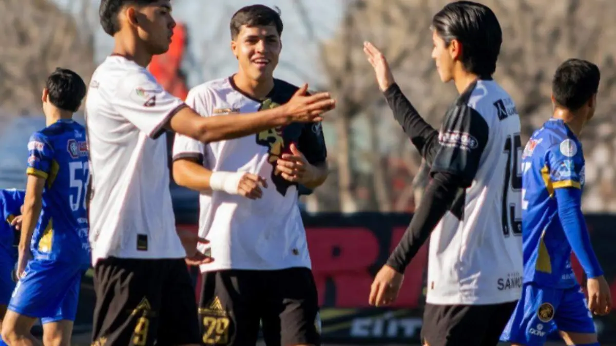 c7adbad5-c2ec-408d-b22c-f56ab852d6a9