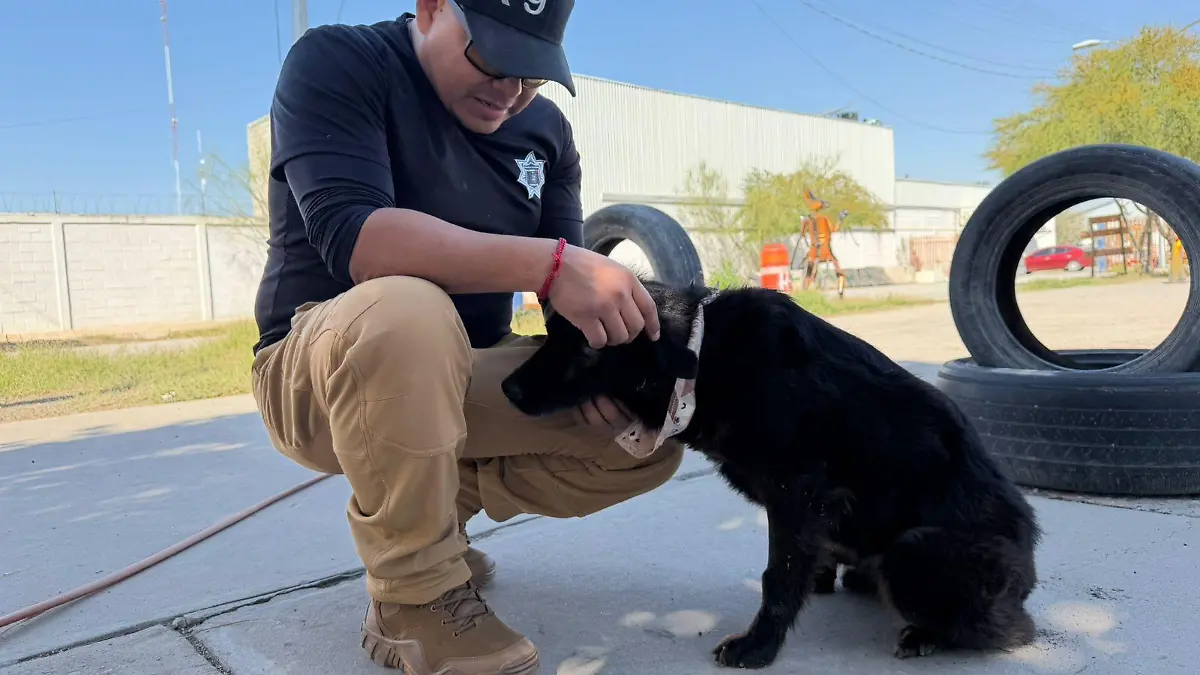 b37e347e-456d-4885-a0e6-08a1fc42b083