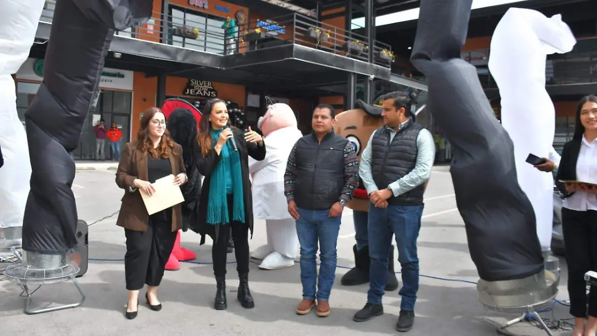 WhatsApp Image 2026-02-04 at 14.44.56