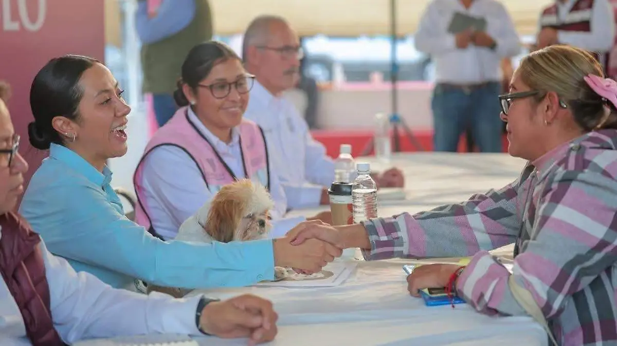 WhatsApp Image 2026-02-04 at 15.16.14