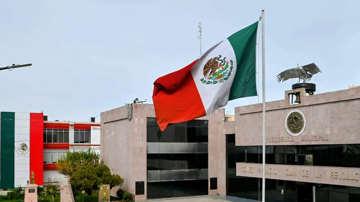 WhatsApp Image 2026-02-04 at 15.19.58