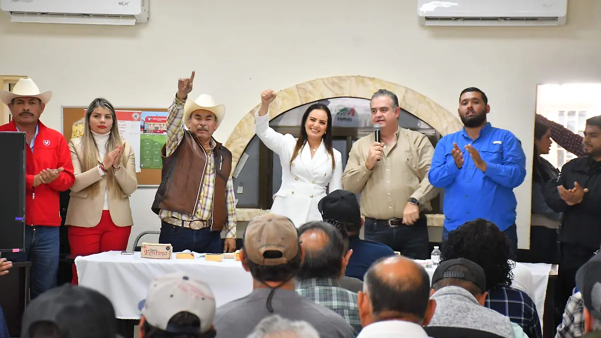 WhatsApp Image 2026-02-04 at 14.17.02