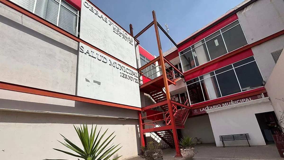 WhatsApp Image 2026-02-05 at 13.01.02