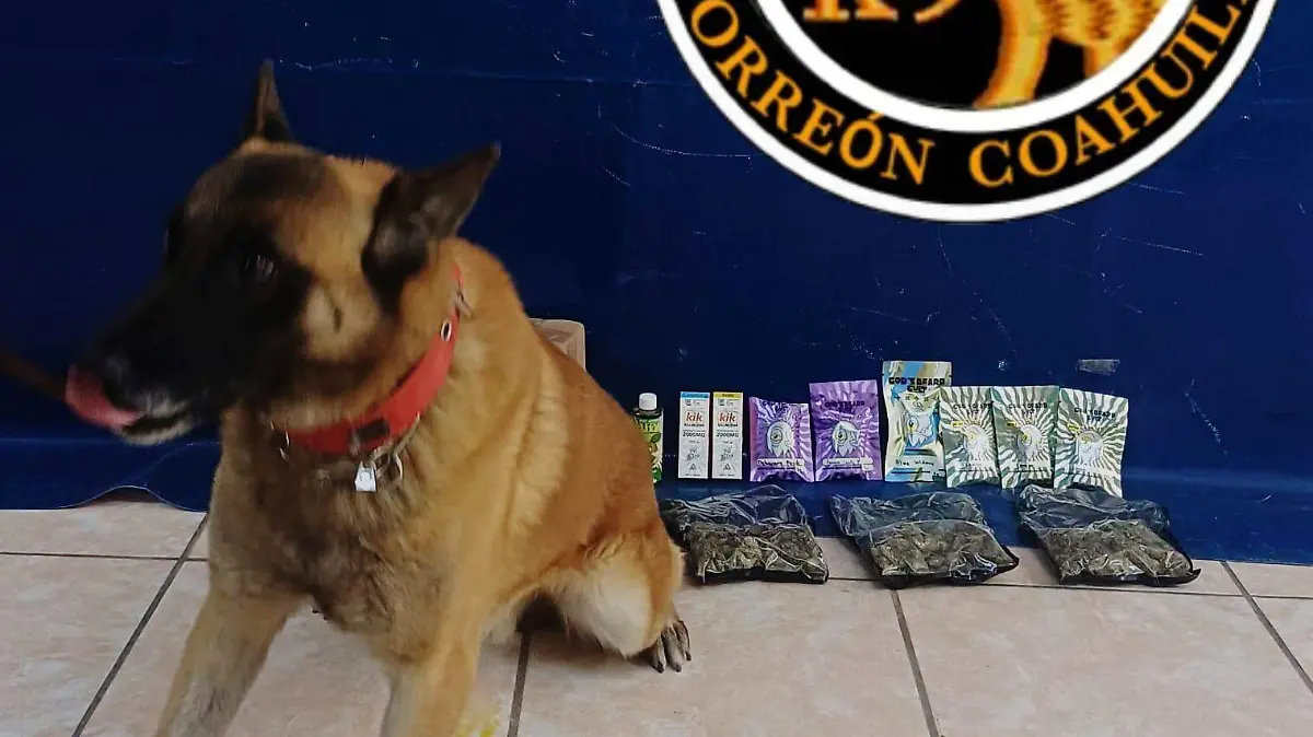 WhatsApp Image 2026-02-05 at 2.36.08 PM