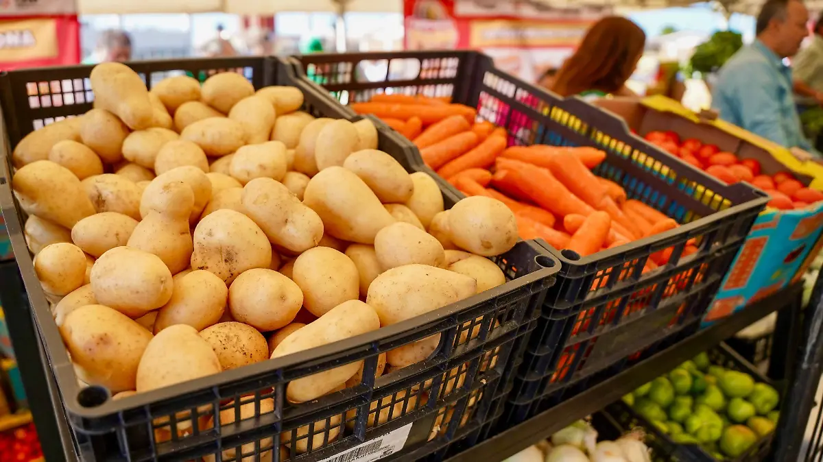 WhatsApp Image 2026-02-05 at 14.29.11