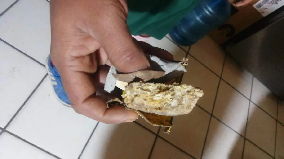 WhatsApp Image 2026-02-05 at 15.33.10