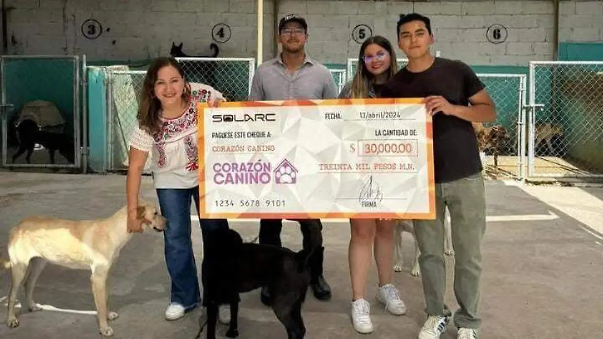 WhatsApp Image 2026-02-05 at 5.35.06 PM