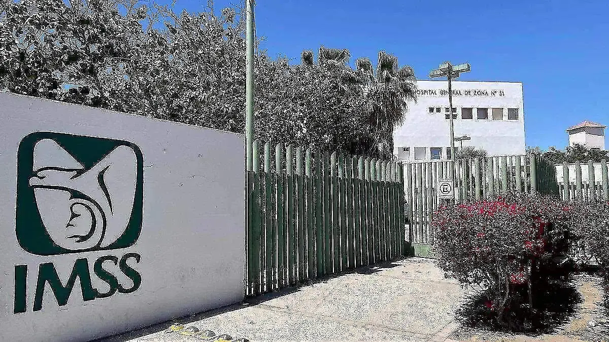 WhatsApp Image 2026-02-06 at 11.29.48 AM (1)