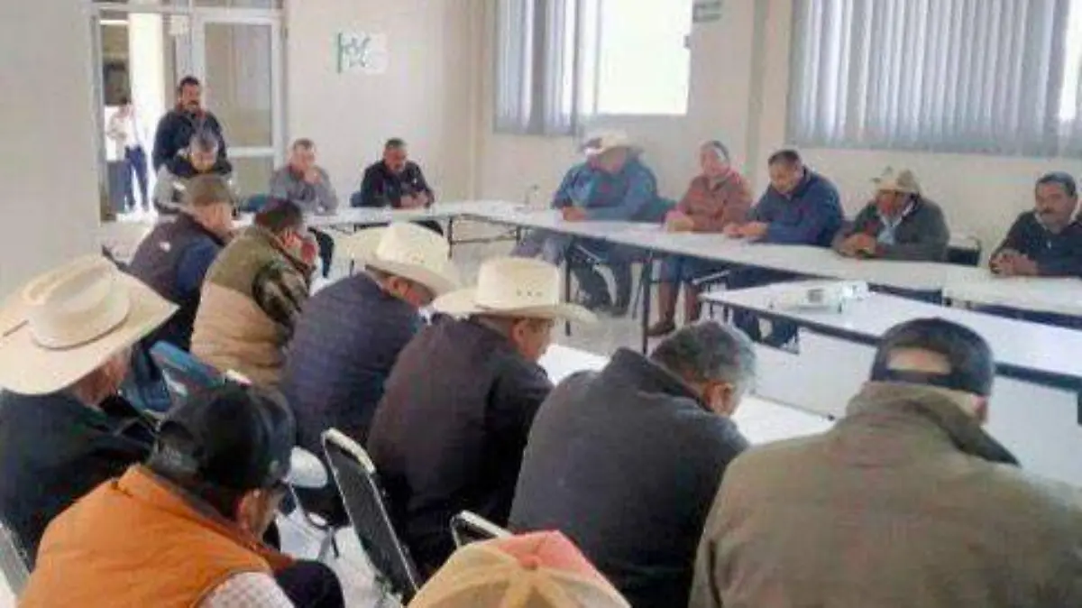 WhatsApp Image 2026-02-06 at 12.27.48