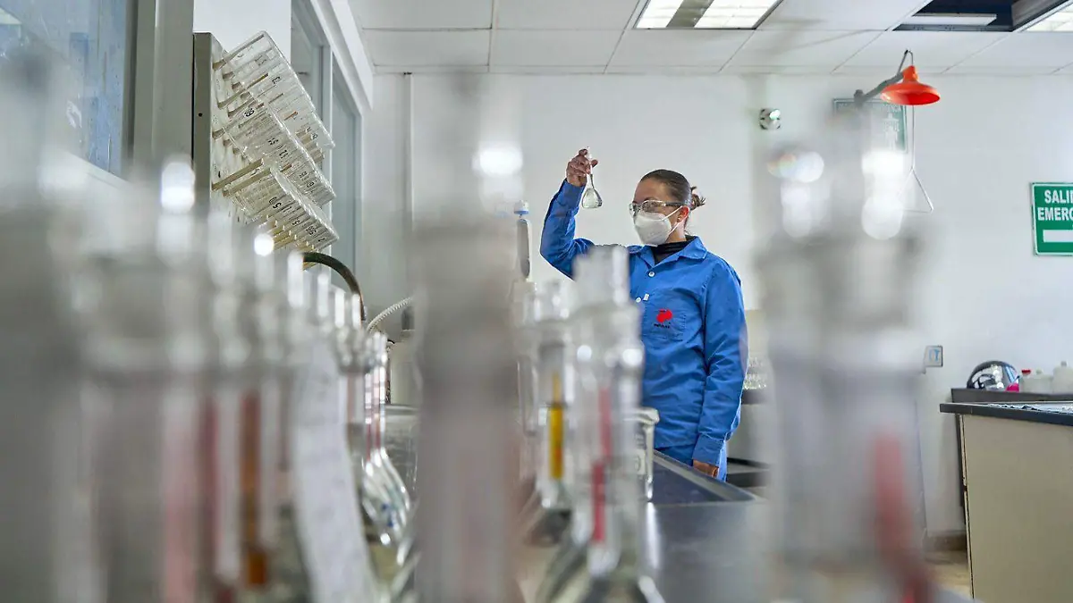 WhatsApp Image 2026-02-06 at 14.58.11