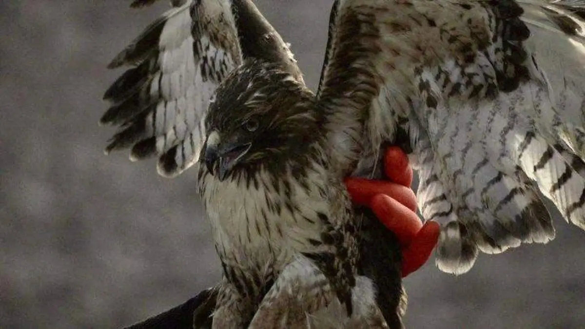 WhatsApp Image 2026-02-06 at 5.39.47 PM