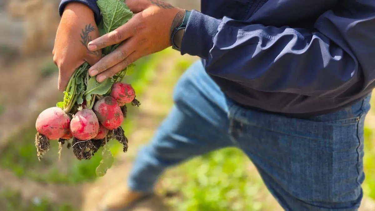 WhatsApp Image 2026-02-07 at 3.14.29 PM