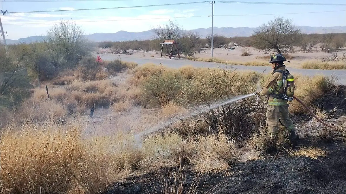 629750043_122234095532097050_1256419223805279265_n