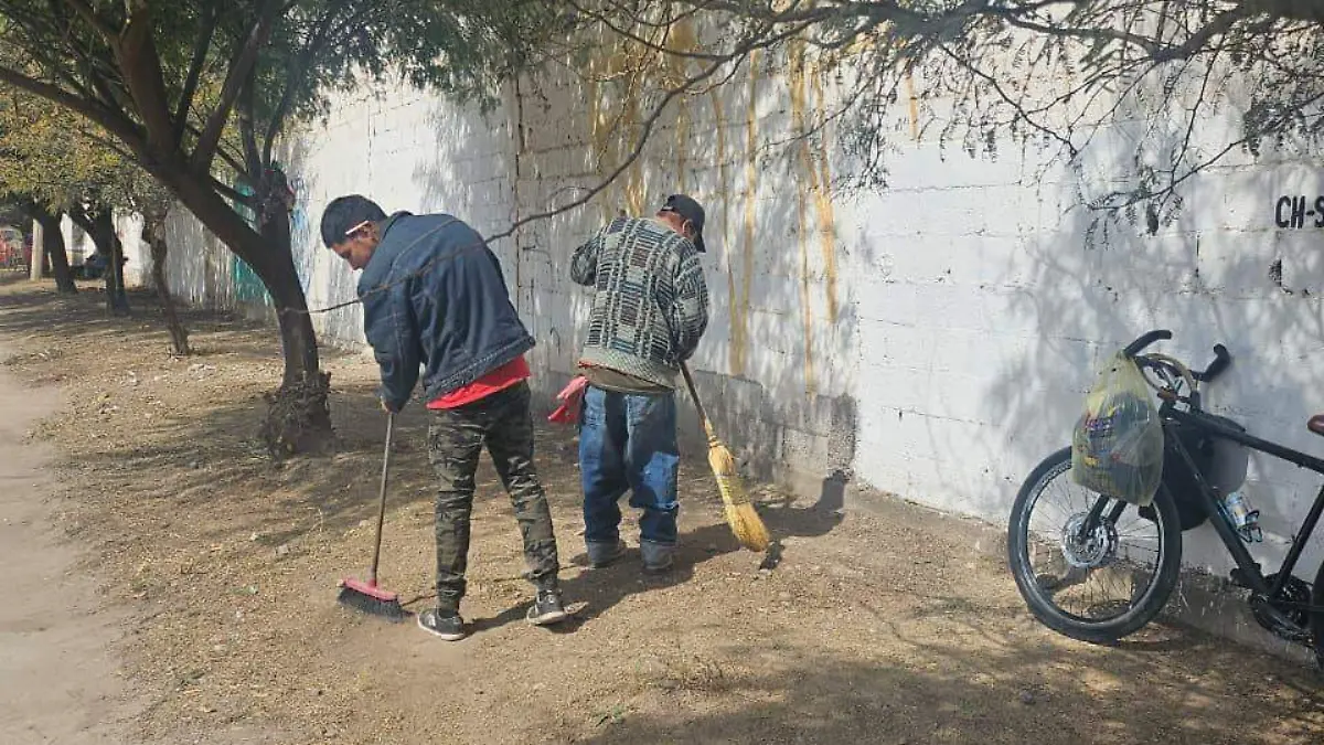 WhatsApp Image 2026-02-09 at 13.33.15 (1)