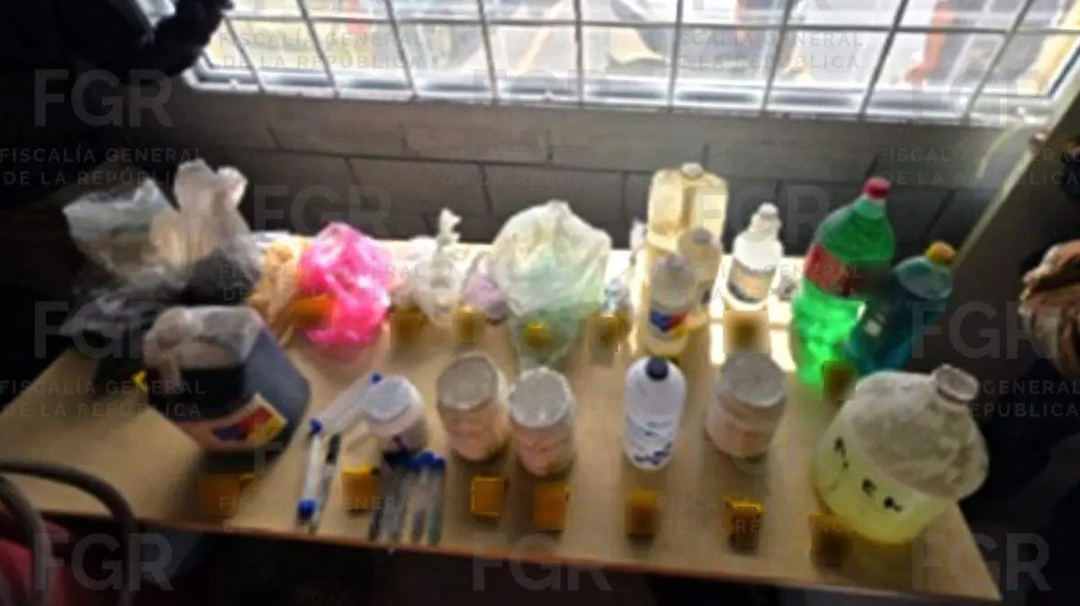 WhatsApp Image 2026-02-09 at 13.39.41