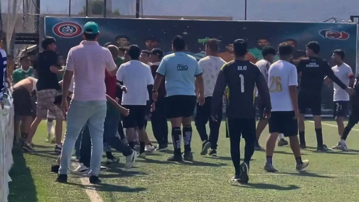 WhatsApp Image 2026-02-09 at 13.58.59