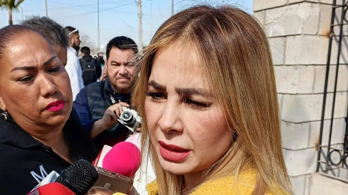 WhatsApp Image 2026-02-09 at 15.31.26