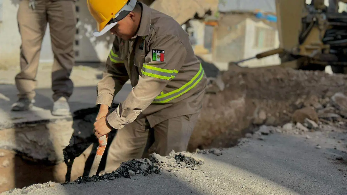 WhatsApp Image 2026-02-10 at 13.31.23