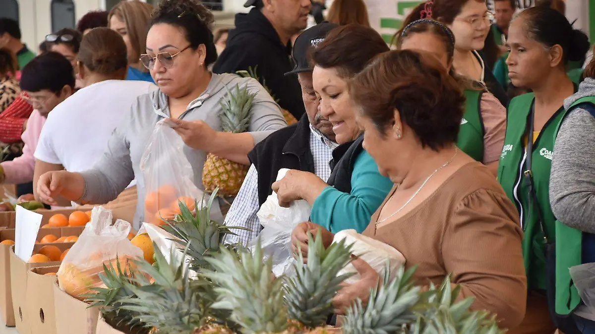 WhatsApp Image 2026-02-10 at 12.50.27