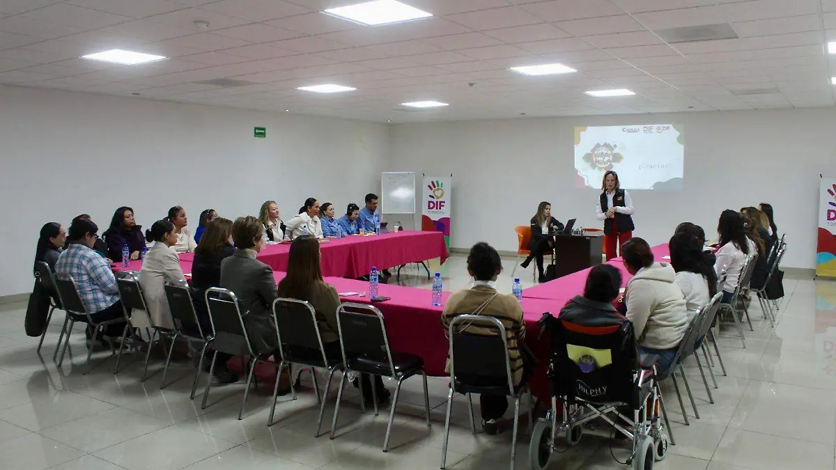 WhatsApp Image 2026-02-11 at 12.41.38