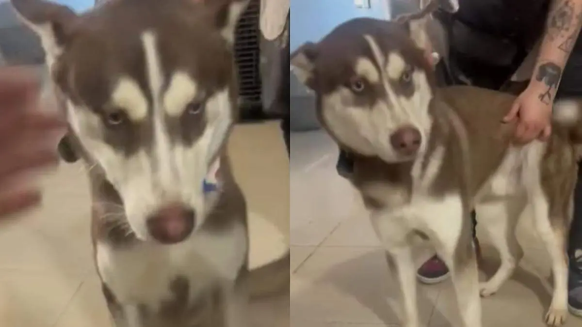 Medidas Portada CUE (28)