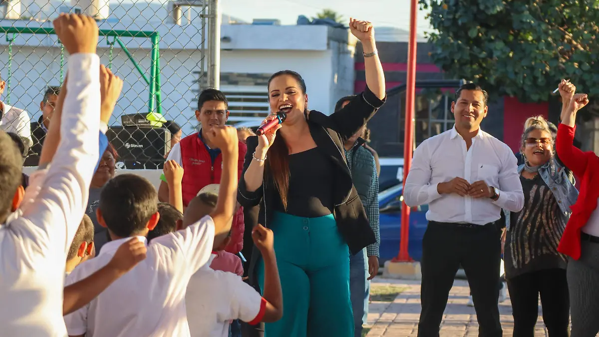 WhatsApp Image 2026-02-11 at 13.23.03