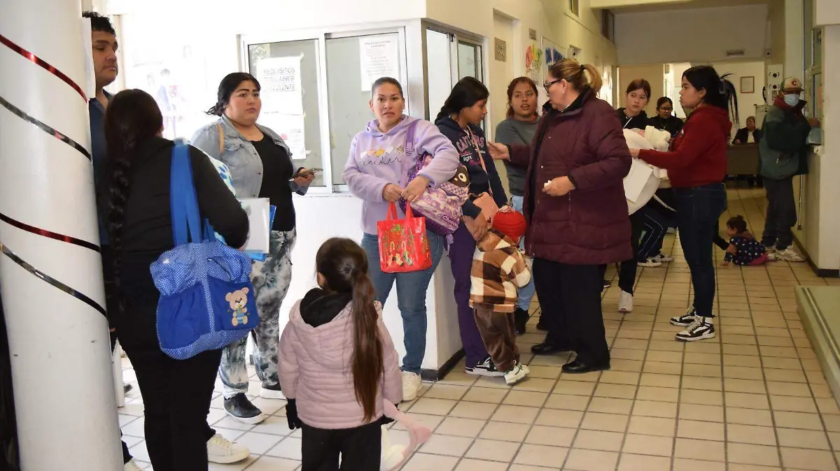 WhatsApp Image 2026-02-11 at 14.48.50