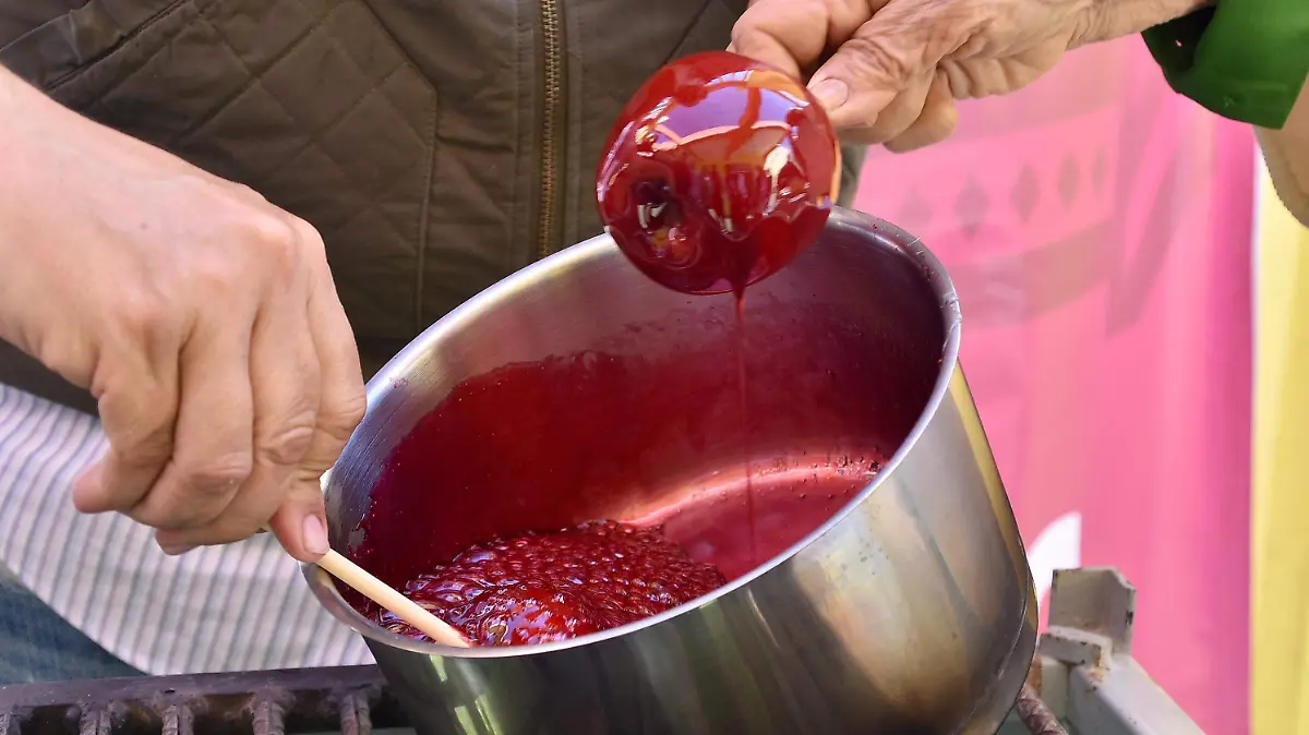 Curso para hacer chapeteadas en Torreón