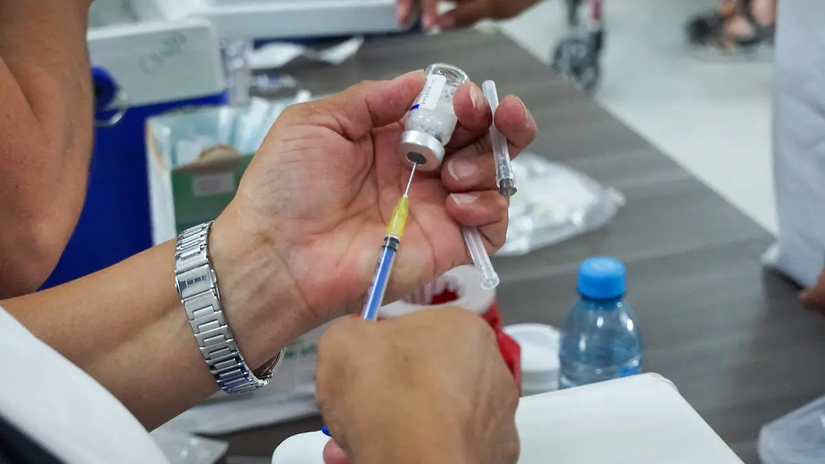 WhatsApp Image 2026-02-11 at 16.02.19