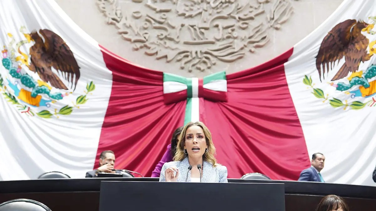 WhatsApp Image 2026-02-11 at 17.09.36