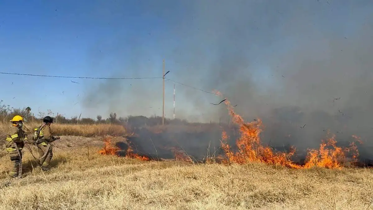 WhatsApp Image 2026-02-11 at 6.47.18 PM