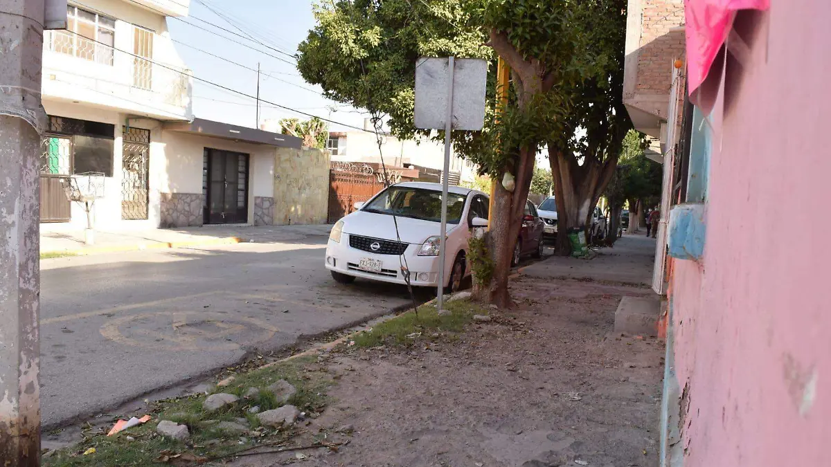 WhatsApp Image 2026-02-12 at 10.48.29