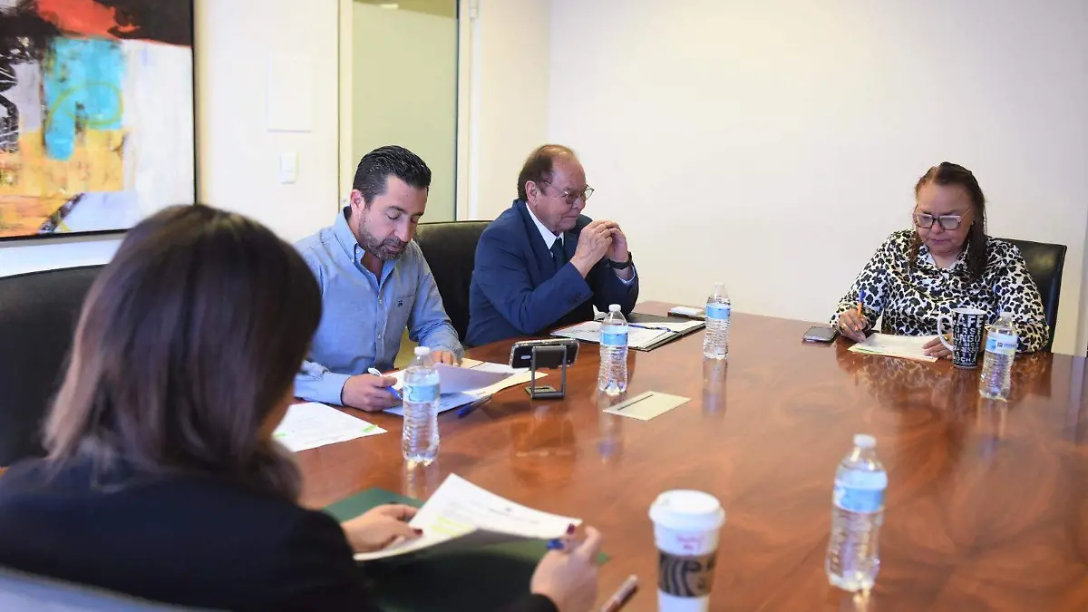 WhatsApp Image 2026-02-12 at 13.26.29