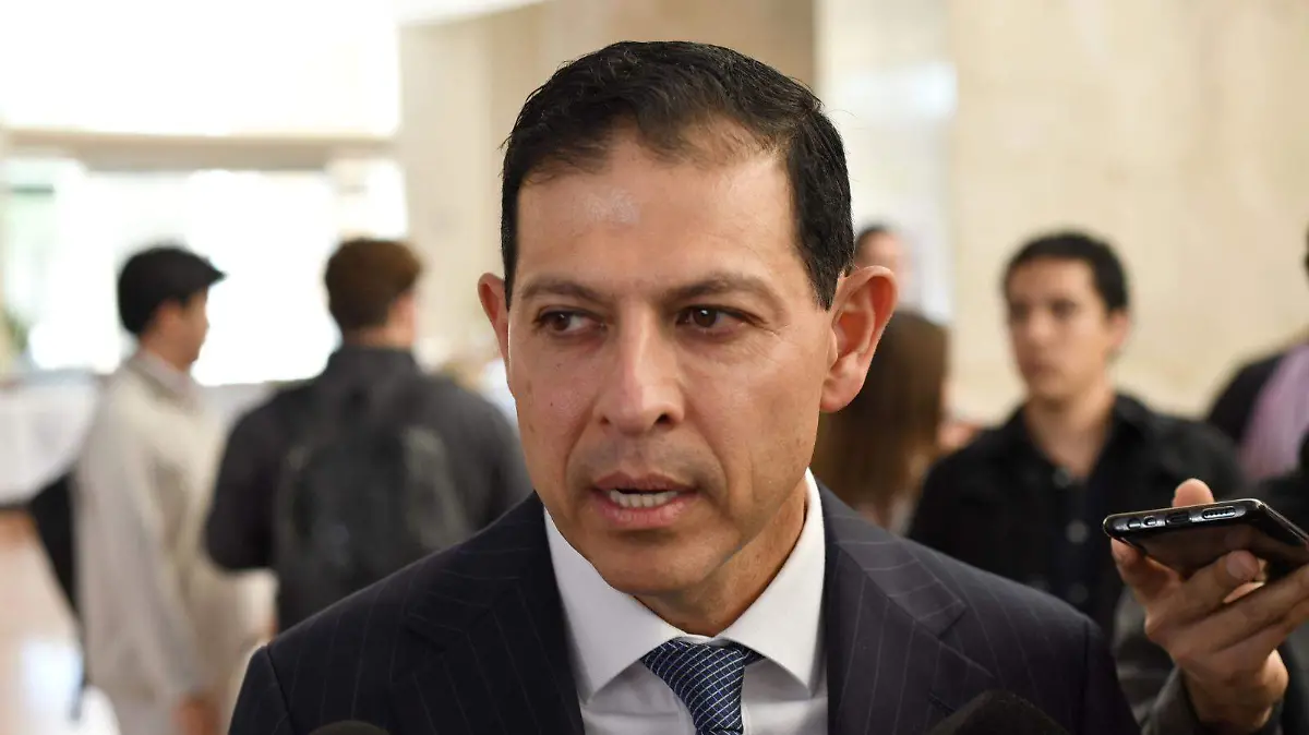 WhatsApp Image 2026-02-12 at 13.41.15