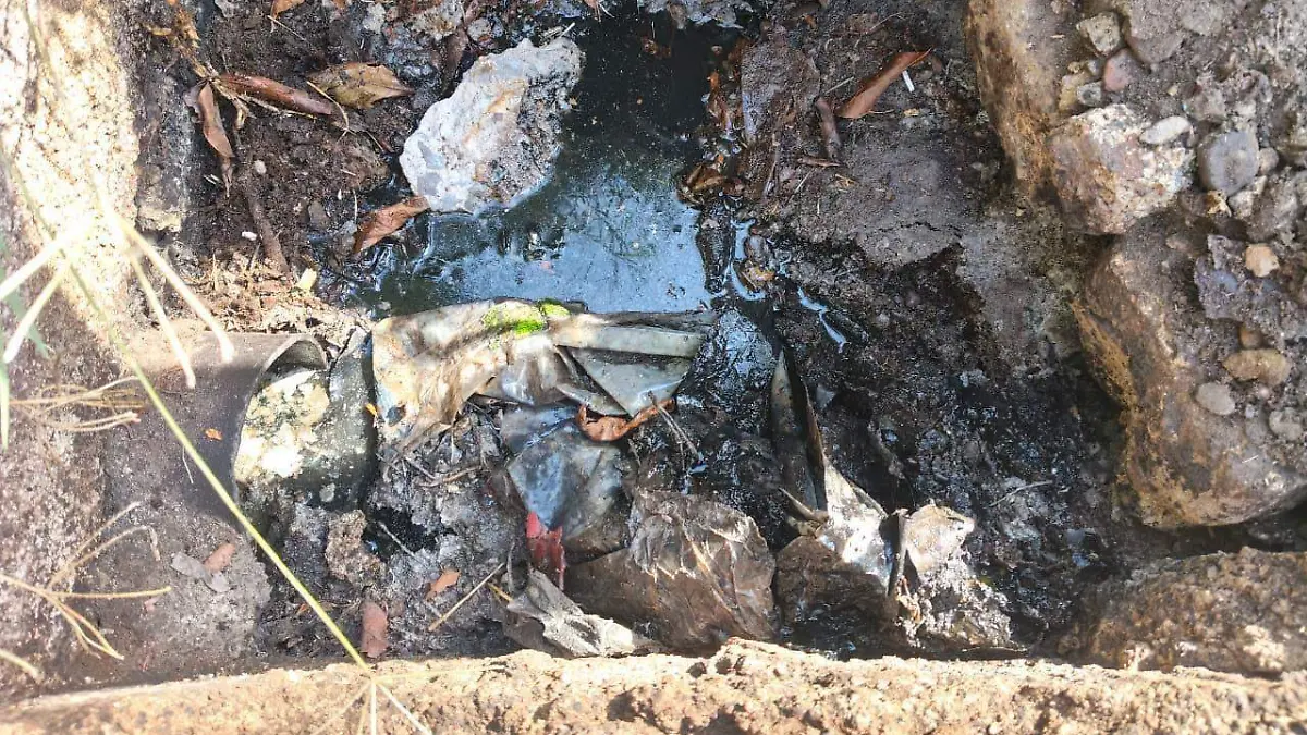 WhatsApp Image 2026-02-13 at 11.12.28